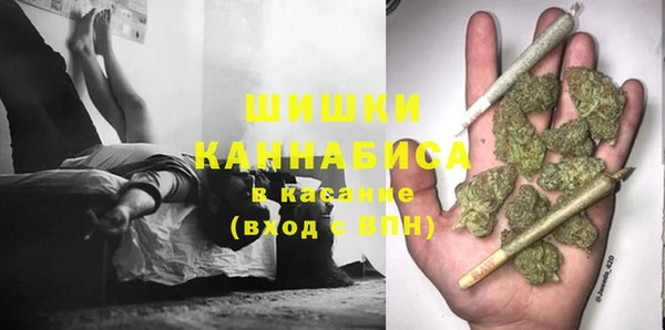 шишки Пестово