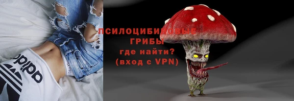 шишки Абдулино