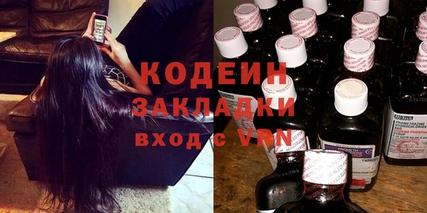 шишки Пестово
