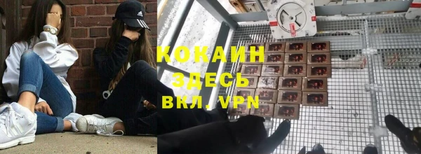 шишки Абдулино