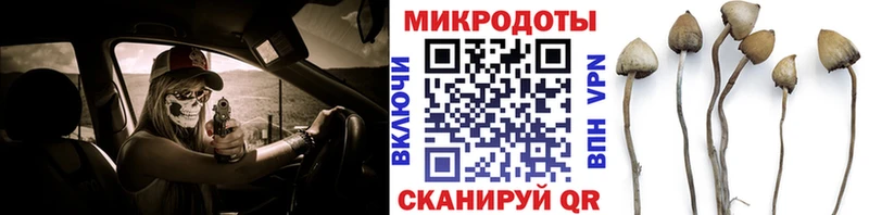 где найти blacksprut рабочий сайт Псилоцибиновые грибы Magic Shrooms Александровск-Сахалинский
